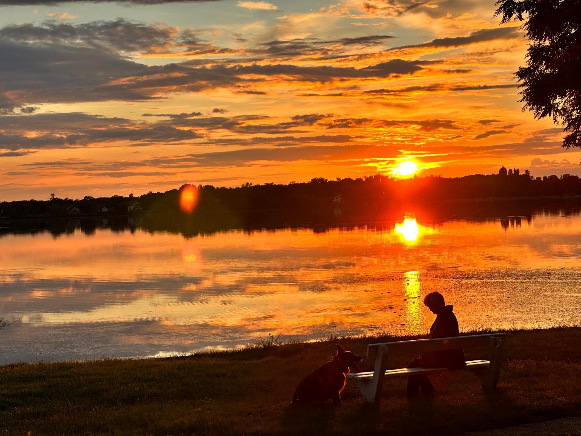 Vila Regina Palić Exteriör bild
