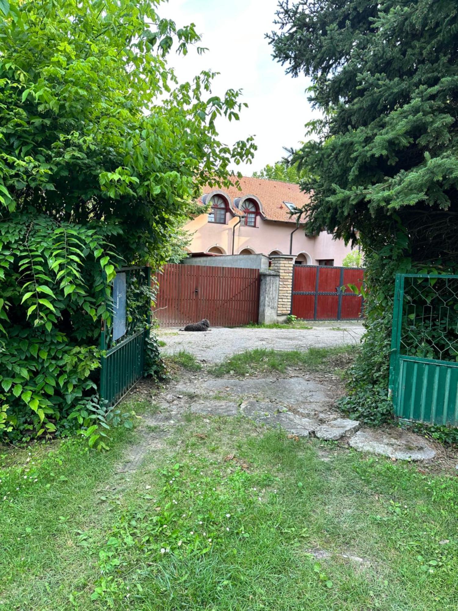 Vila Regina Palić Rum bild