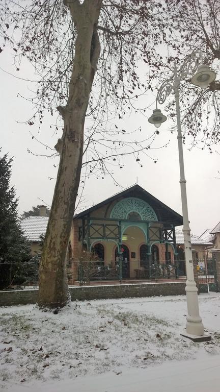 Vila Regina Bed and Breakfast Palić Exteriör bild