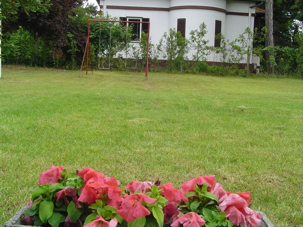 Vila Regina Palić Rum bild